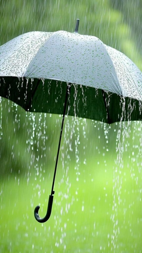 Uttarakhand weather alert ऑरेंज अलर्ट 