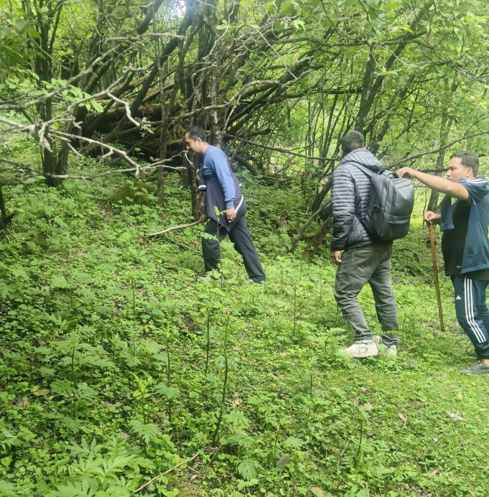 दयारा बुग्याल में लापता महिला की तलाश में जुटी SDRF, NDRF और NIM की संयुक्त टीम